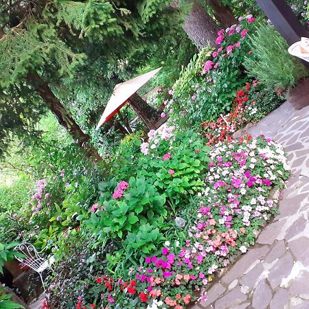 Albergo La Baita Corfino Екстериор снимка