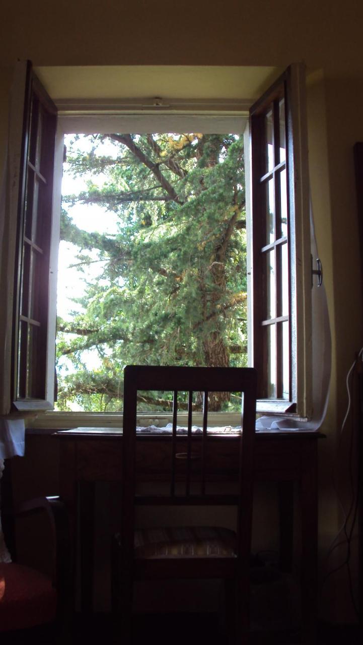 Albergo La Baita Corfino Стая снимка